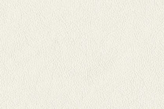FL10-WHITE-t