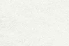 FL11-WINTER-WHITE-t