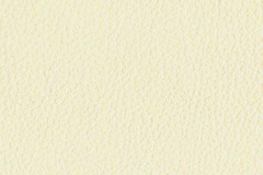 FL14-FRENCH-VANILLA-t