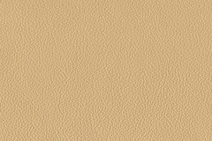 FL15-SESAME-t
