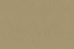 FL22-KHAKI-t