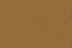 FL25-SADDLE-t