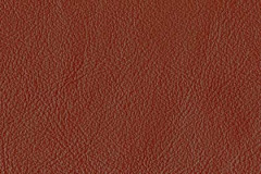 FL29-RUST-t