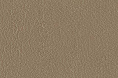 FL30-BEIGE-t