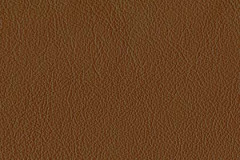 FL36-TRUFFLE-t