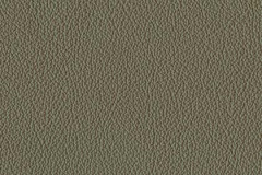 FL40-GRAPHITE-t