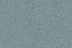FL48-SALON-t
