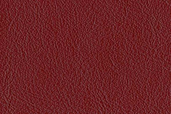 FL53-RED-t