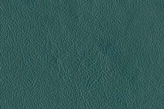 FL55-STANDARD-GREEN-t