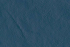 FL60-CLASSIC-BLUE-t