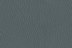 FL62-PANTALOON-t