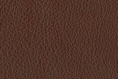 FL72-STANDARD-BROWN-t