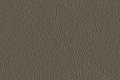 FL75-BROWN-t