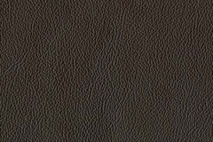 FL79-WALNUT-t