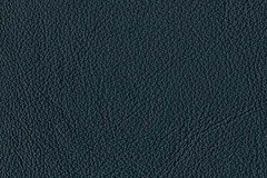 FL82-NAVY-t