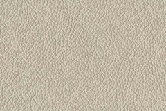 H220-SILVERDUST-t