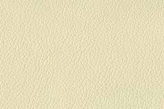 H223-IVORY-t