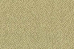 H259-CASHEW-t