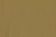 H289-HAZELNUT-t