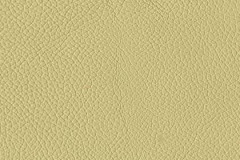 H295-VELLUM-t