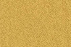 H342-AMBER-t