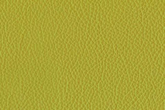 H435-CHARTREUSE-t