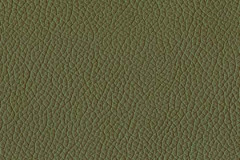 H450-CLOVER-t