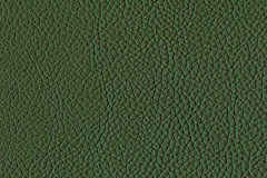 H490-PINE-t