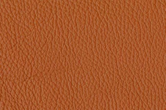 H610-SIENNA-t