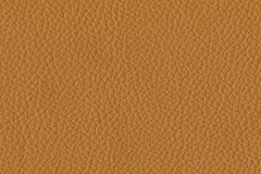 H622-ALMOND-t