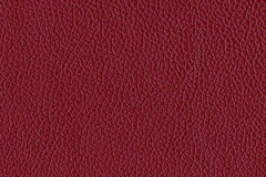 H670-SCARLET-t