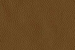 H735-CAPPUCCINO-t