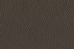 H780-SEPIA-t