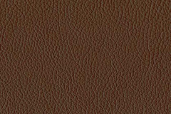 H790-COCO-t
