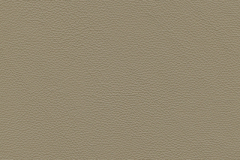 HE-5007-Oak-t