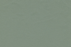 HE-5009-Platinum-t