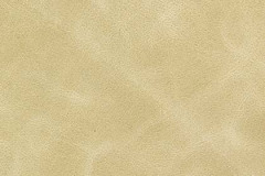 NM20-PRAIRIE-t