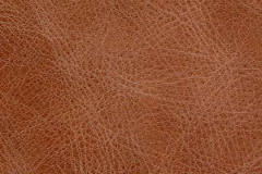 NM60-REDWOOD-t