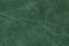NM63-THYME-t