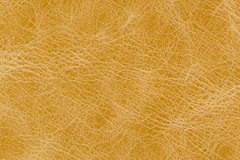 NM71-SADDLE-t