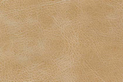 NM72-CAPPUCCINO-t