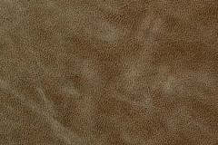 NM77-COCOA-t